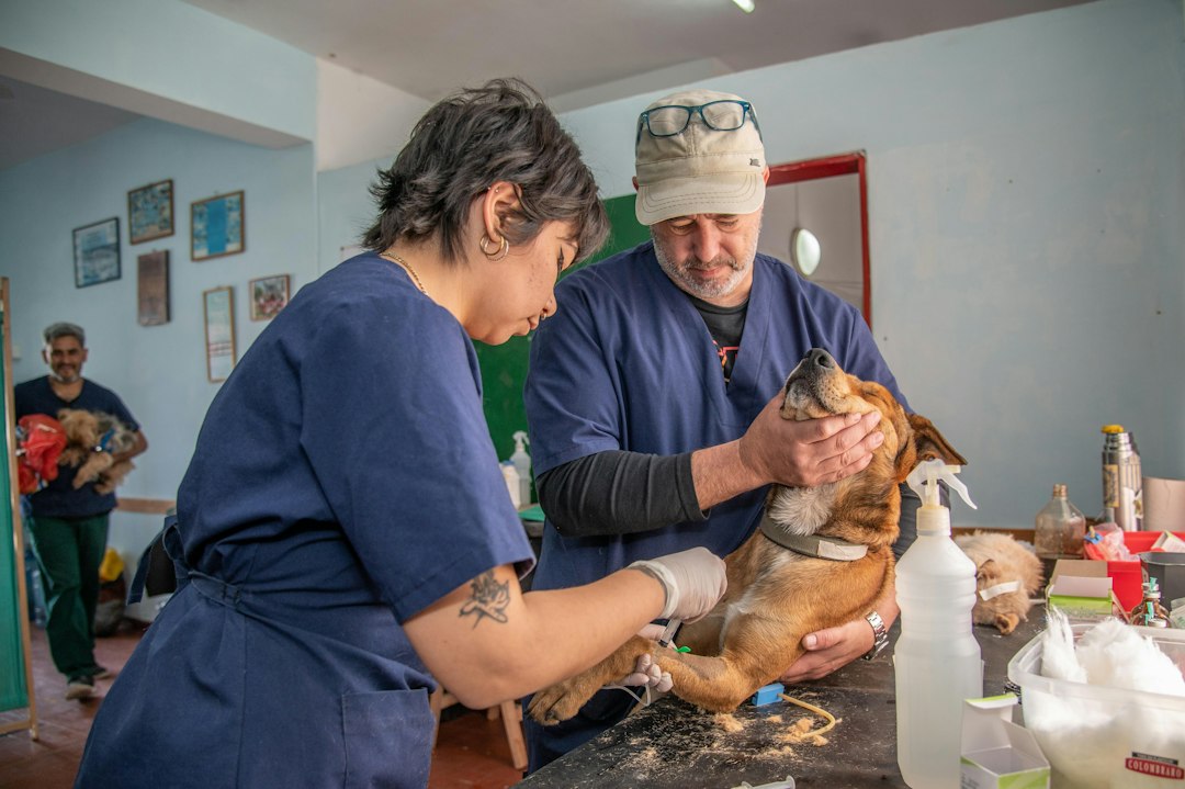 avian vet exam